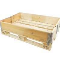 Colar de madeira novo - 1200x800x200mm - 6 dobradiças