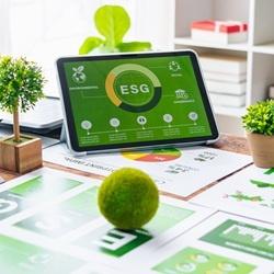 Porque é que a Rotom tem um Gestor de Sustentabilidade