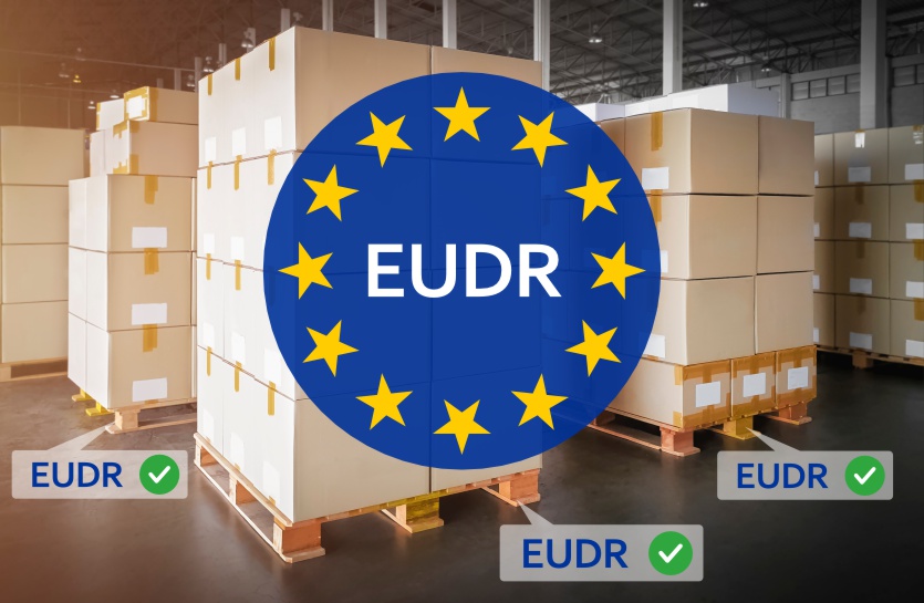 Compra paletes de madeira? Tudo o que precisa de saber sobre o Regulamento EUDR