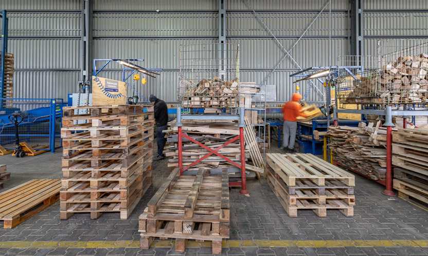 Regeneração de paletes de madeira na zona de produção