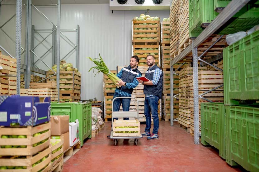 Caixas de madeira abertas e caixas de plástico fornecem a ventilação necessária para legumes e frutas